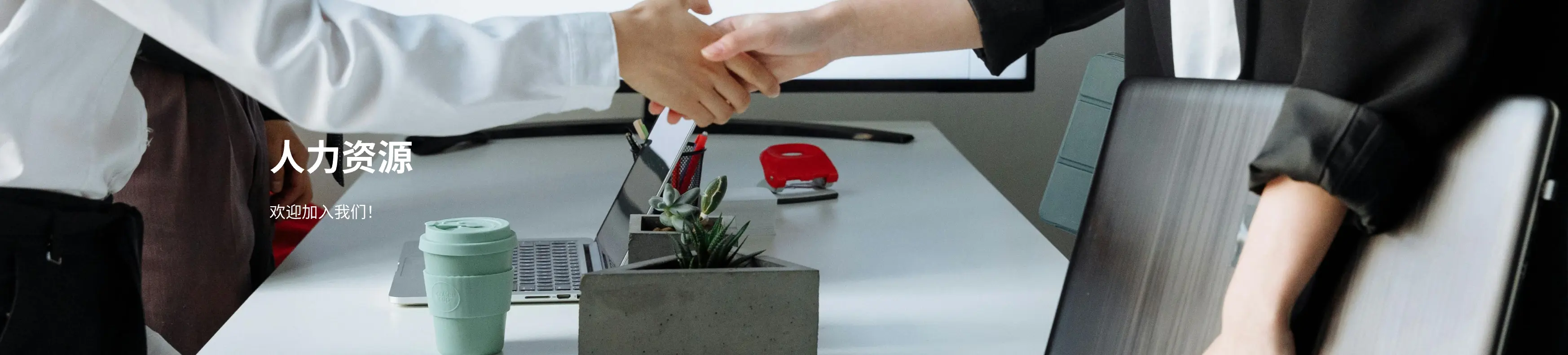 公司招聘